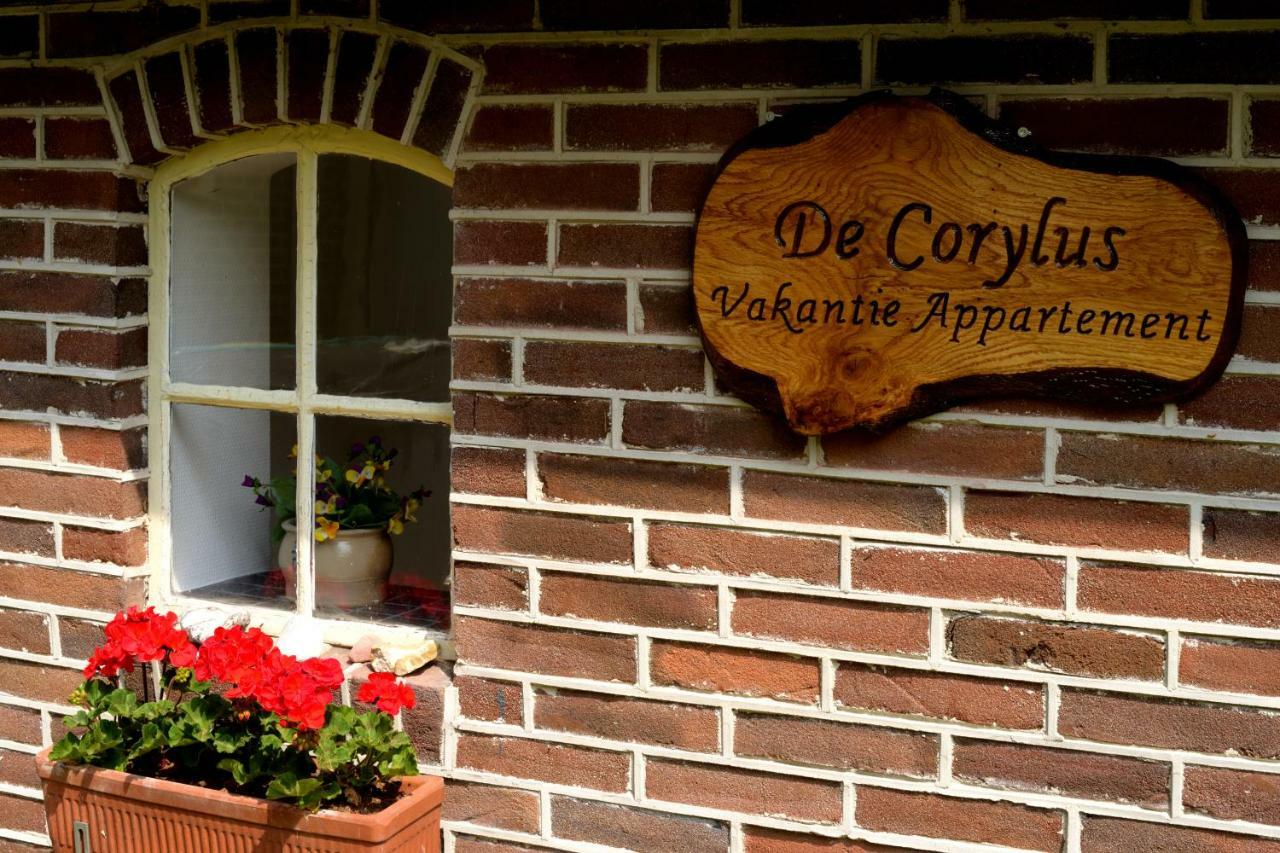 De Corylus Vakantie Appartement Oosterhesselen Eksteriør bilde
